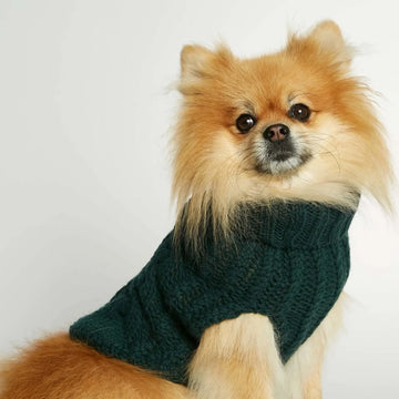 John B. Sweater // Dog sweater in merino wool and cashmere (dark green) Large