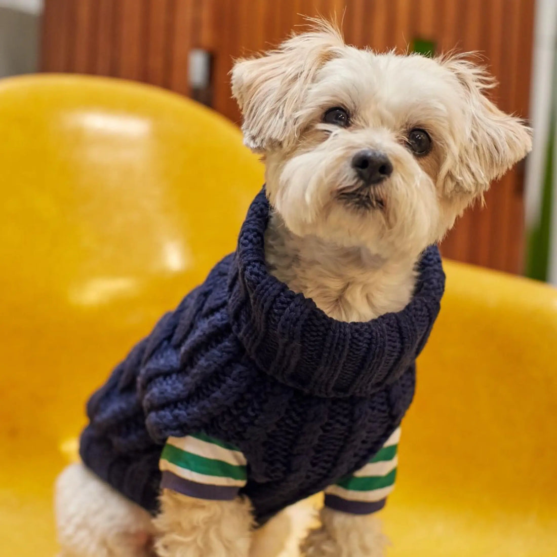 John B. Sweater // Hundesweater i merinould og cashmere (navy) Small
