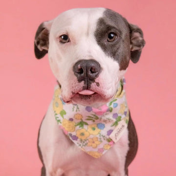 Petal // Dog bandana with flowers in pastel colors