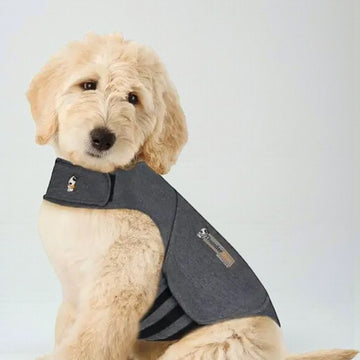 Thundershirt // Beroligende vest til hunde