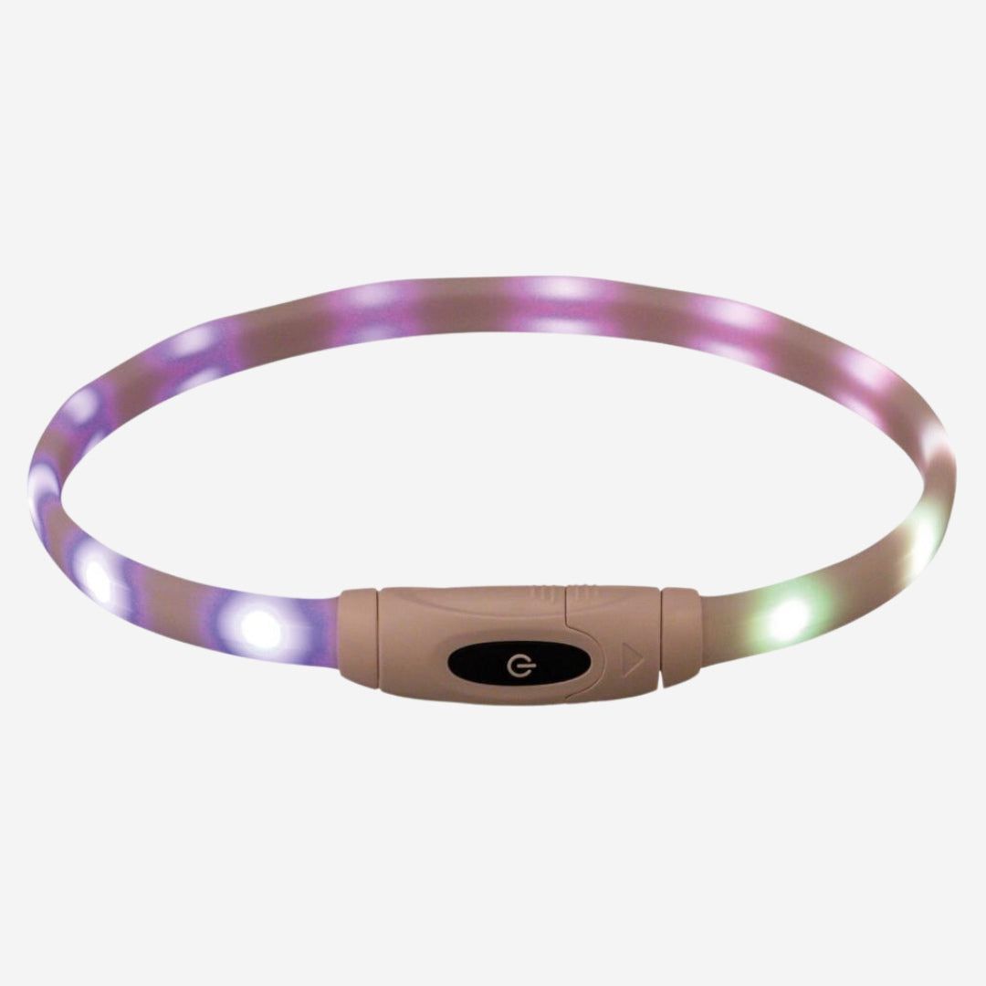 Trixie Flash // Rechargeable and adjustable collar with light (white)