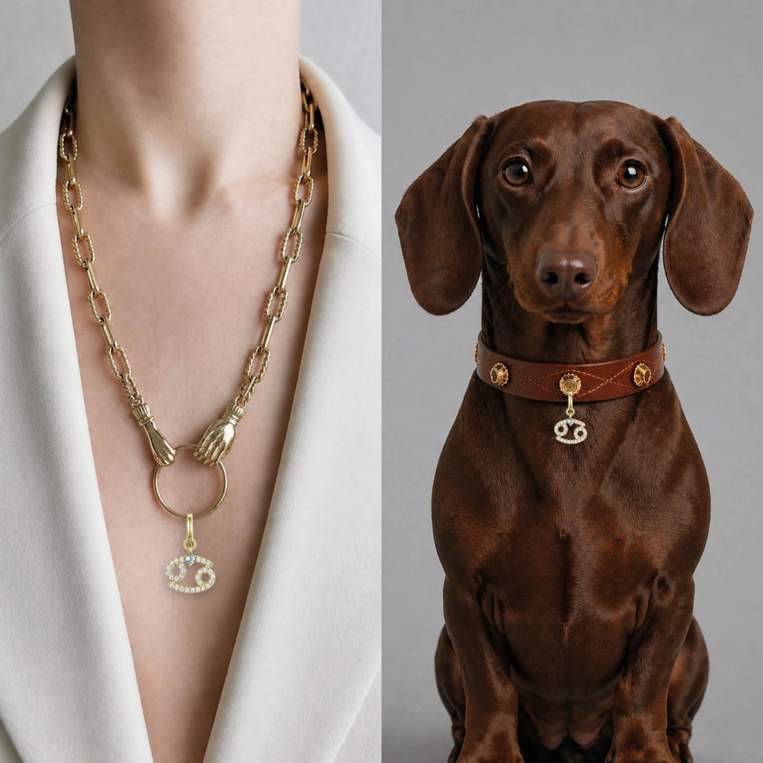 Unleash Cph Cancer Charm // Vedhæng til hundehalsbånd (krebs)