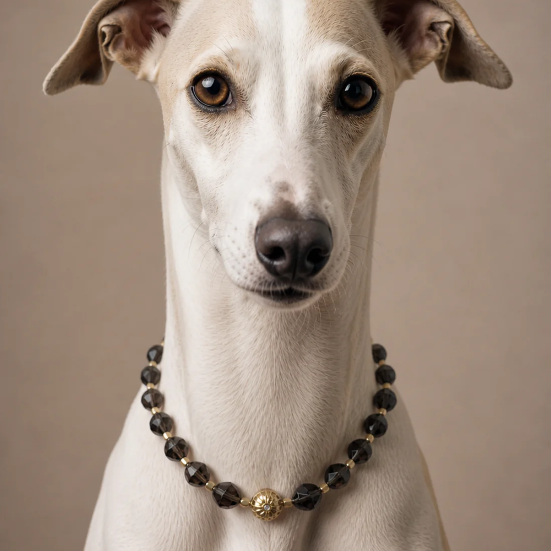 Unleash Cph Grounding Necklace // Krystalhalskæde til hunde