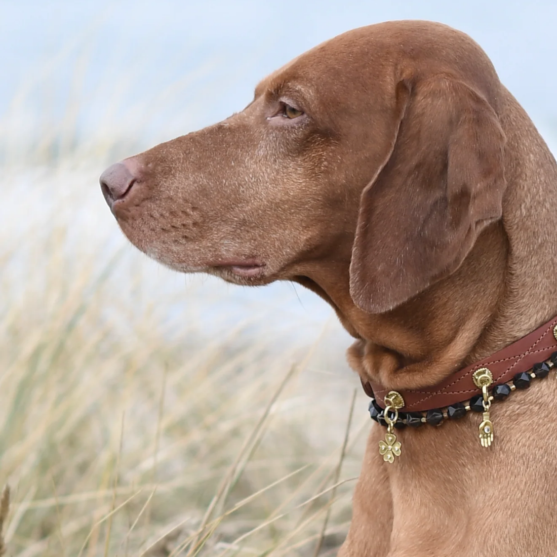 Unleash Cph Luck Charm - Four Leaf Cover // Vedhæng til hundehalsbånd