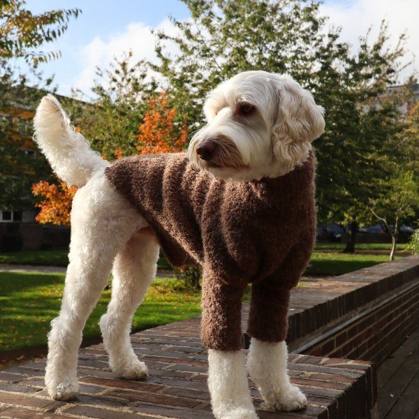 WEAR FIFI Teddy Sweater // Håndstrikket sweater i uld-bouclé (brun)