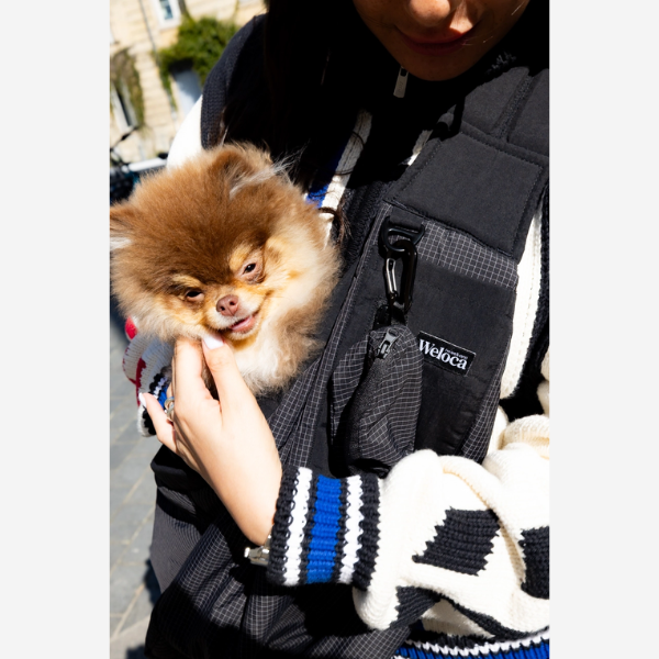 Weloca Carry Bag // Cross-body bæretaske til små hunde (sort)