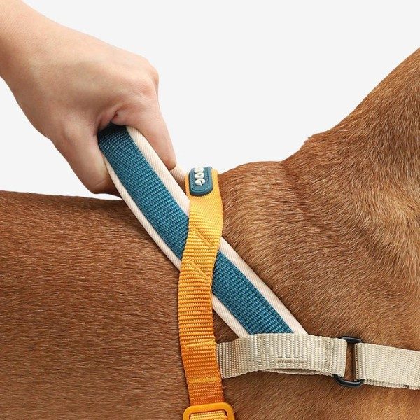 Zee.dog Voyage // Anti-træk sele til hunde (orange) Large