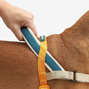 Zee.dog Voyage // Anti-træk sele til hunde (orange) Large